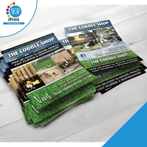 FLYERS (SET OF 1000)