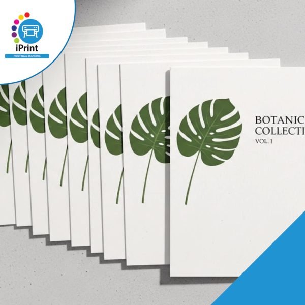 PAPER PRINTS (SET OF 10)