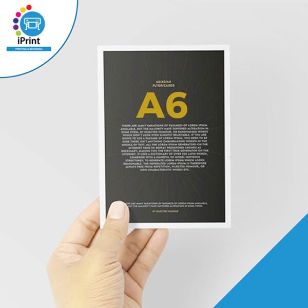 FLYERS (SET OF 60)