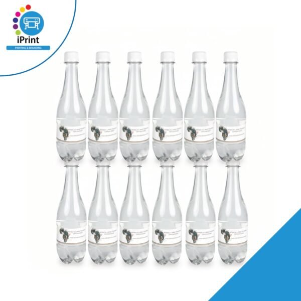 WATER BOTTLES WITH CUSTOM STICKER (SET OF 10)
